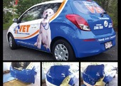 Car Wraps